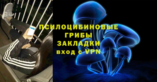 ГАЛЛЮЦИНОГЕННЫЕ ГРИБЫ Богданович